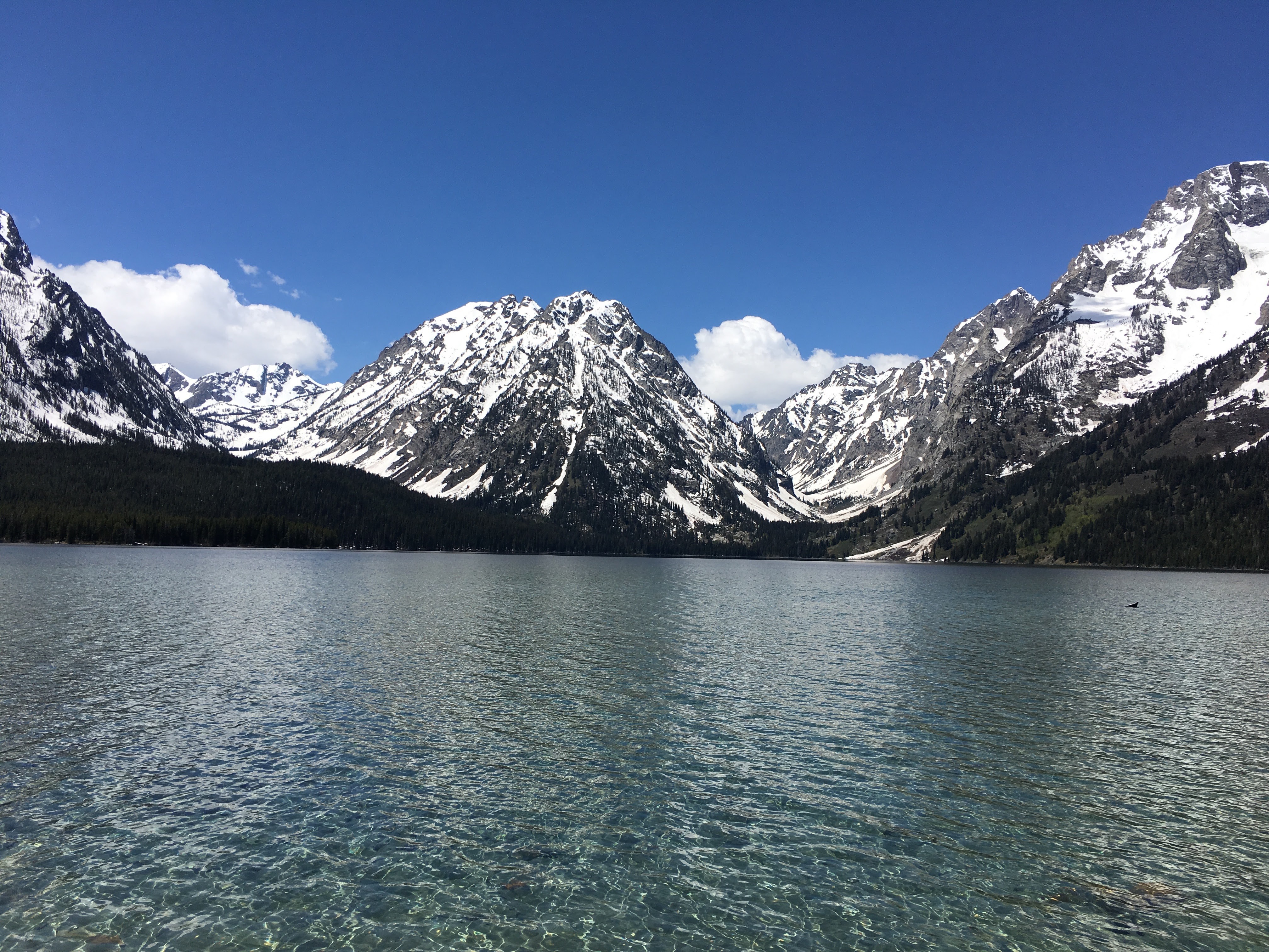 Grand Tetons